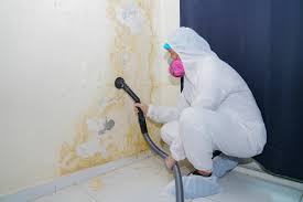 Best Crawl Space Mold Remediation in USA